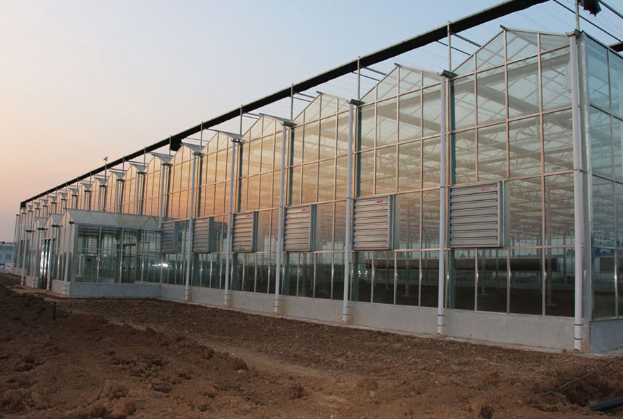 玻璃温室实拍