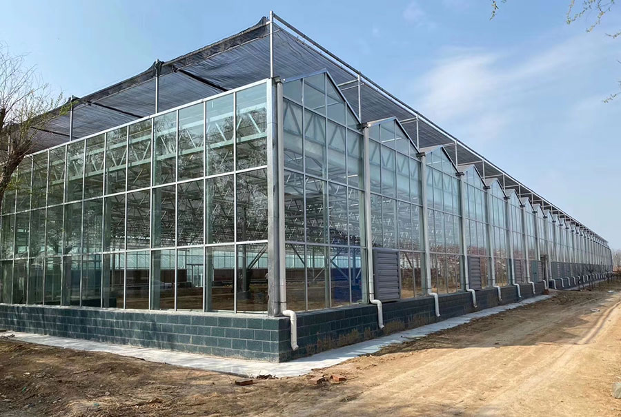 玻璃温室实拍