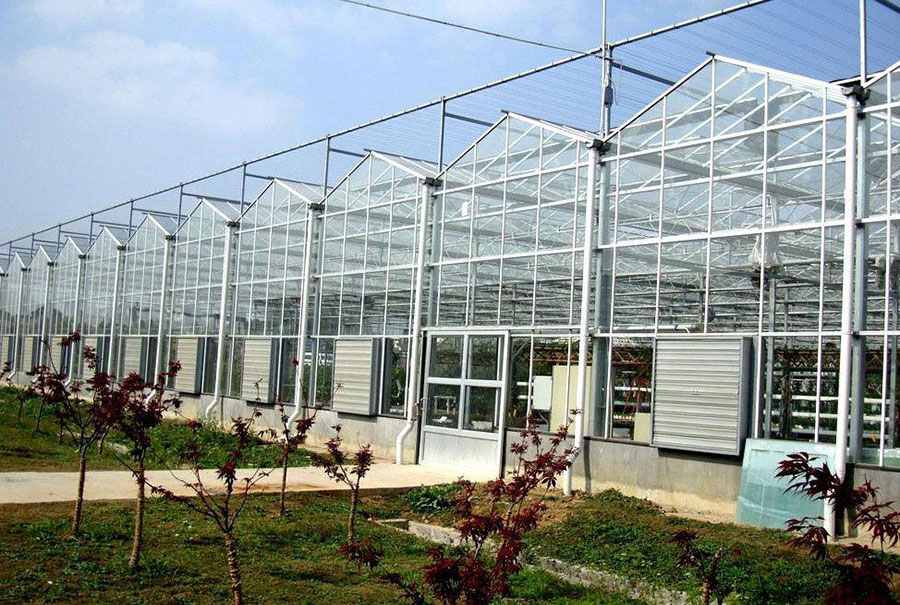 玻璃温室实拍