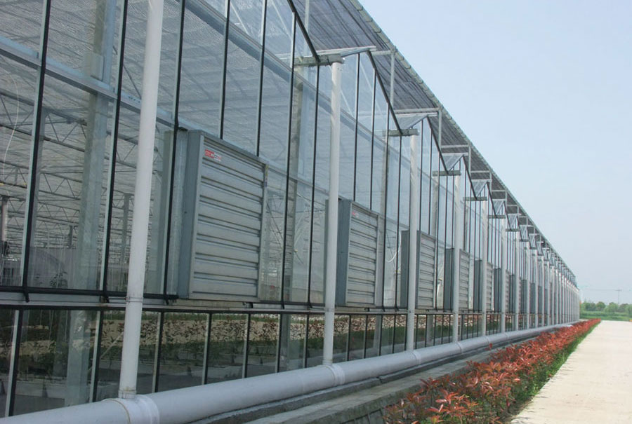 玻璃温室实拍