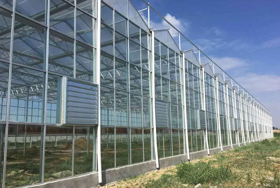 玻璃温室实拍