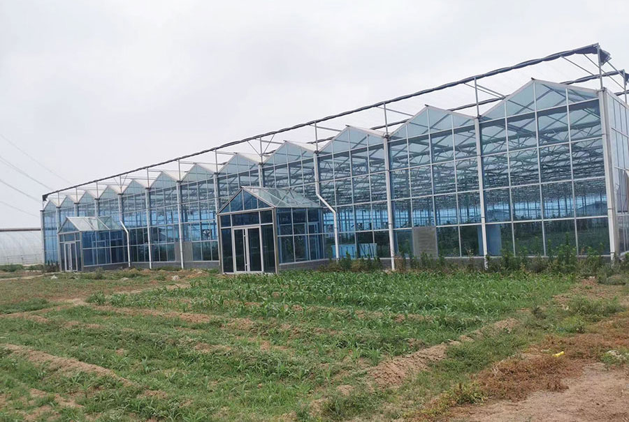 玻璃温室实拍