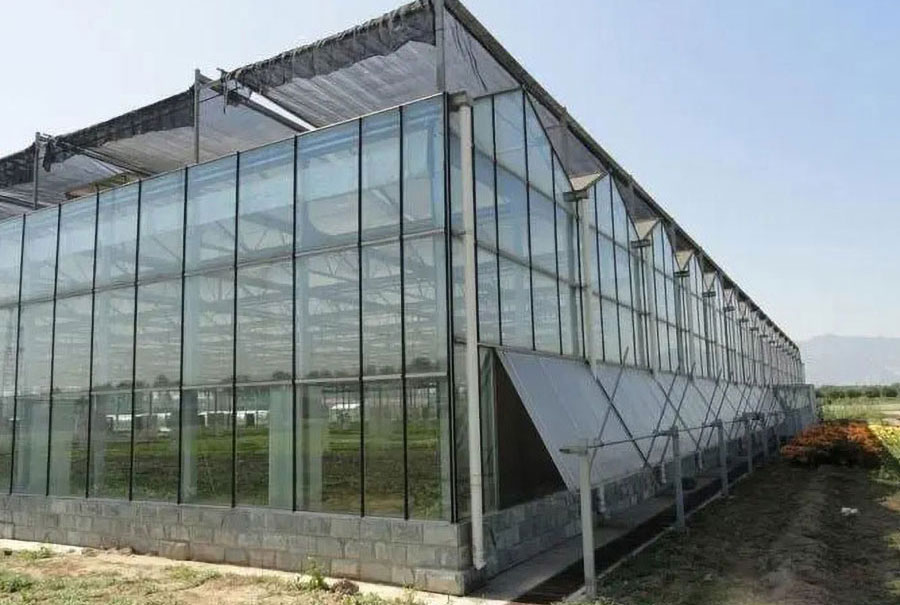 玻璃温室实拍