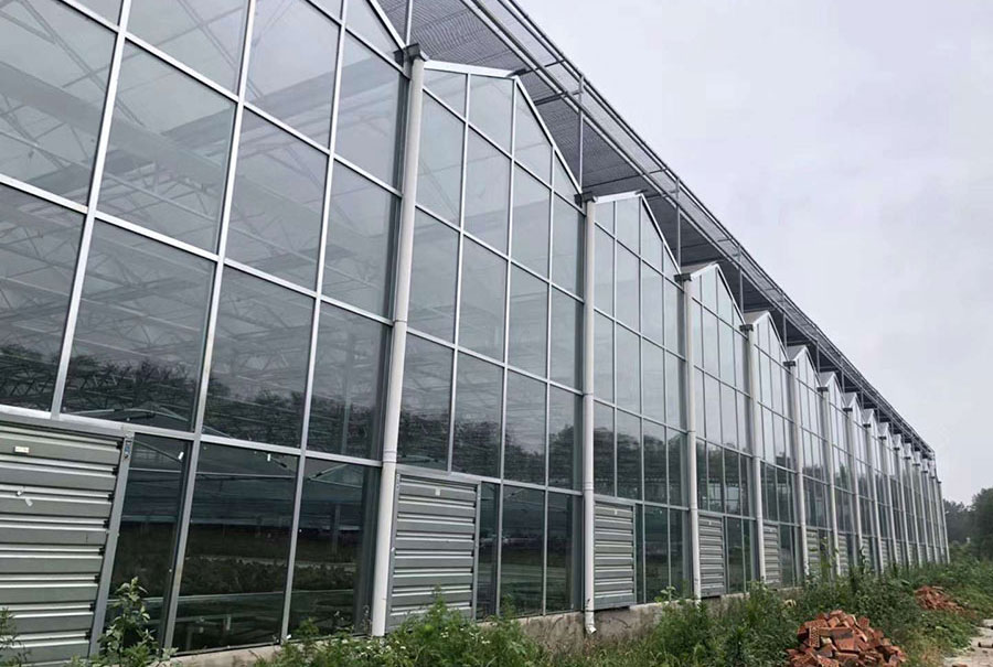 玻璃温室实拍