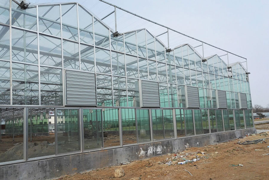 玻璃温室实拍