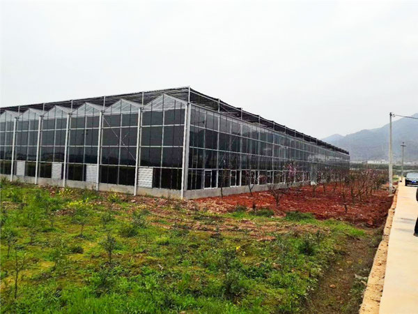 阳光板温室