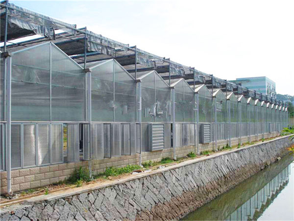 阳光板温室