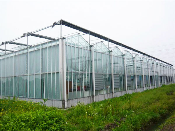 阳光板温室