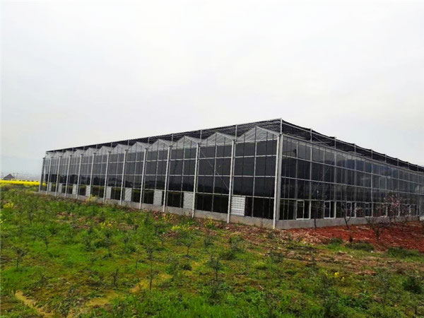 阳光板温室