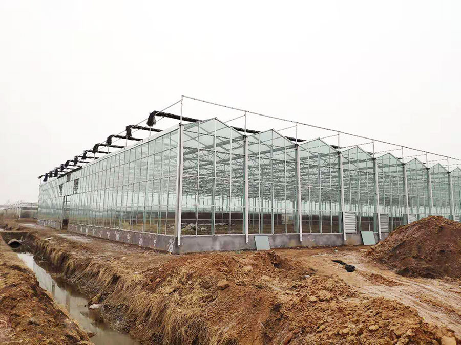 玻璃温室