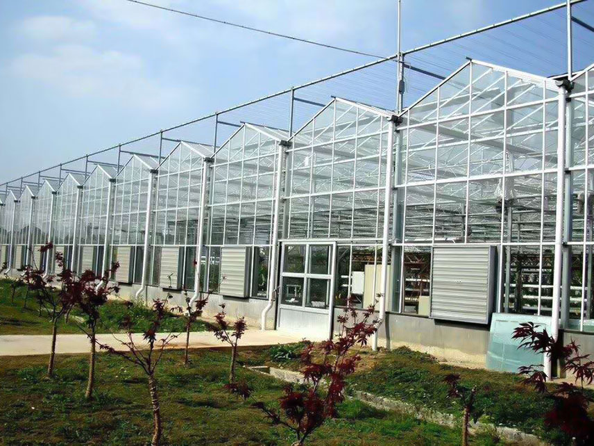 玻璃温室