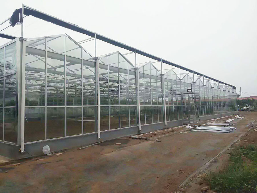 玻璃温室