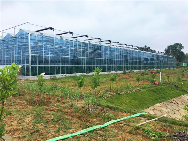 玻璃温室