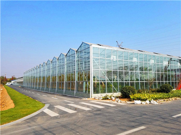 玻璃温室