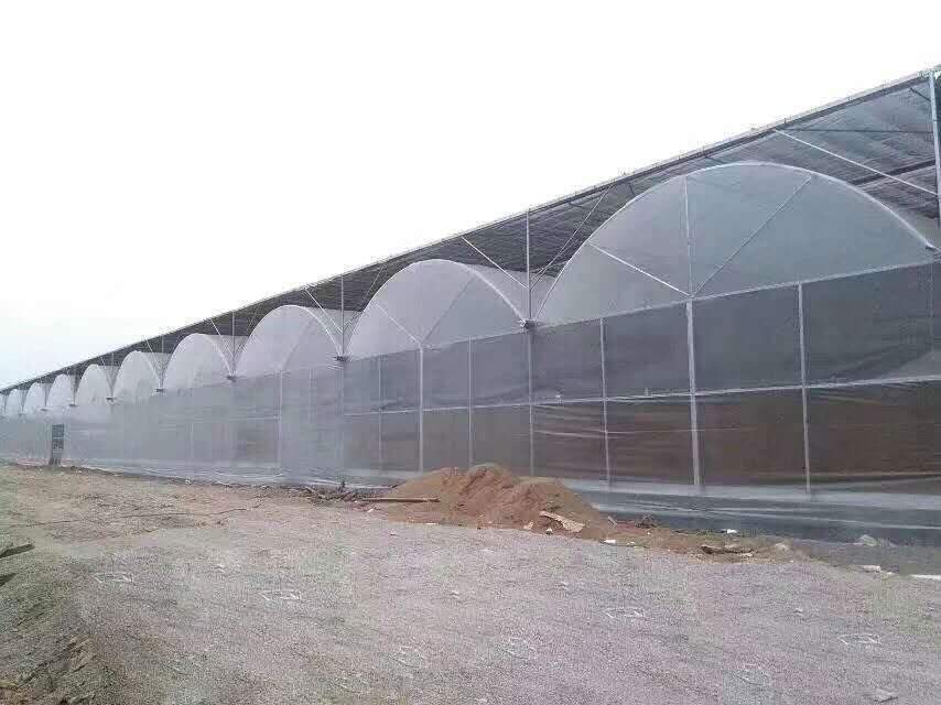 连栋薄膜温室