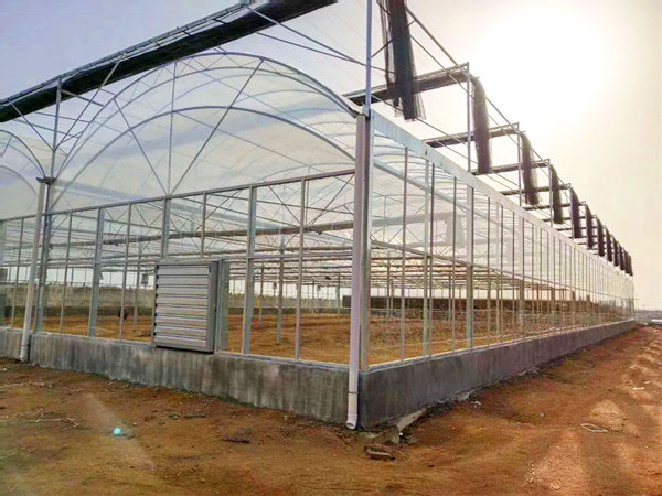 连栋薄膜温室