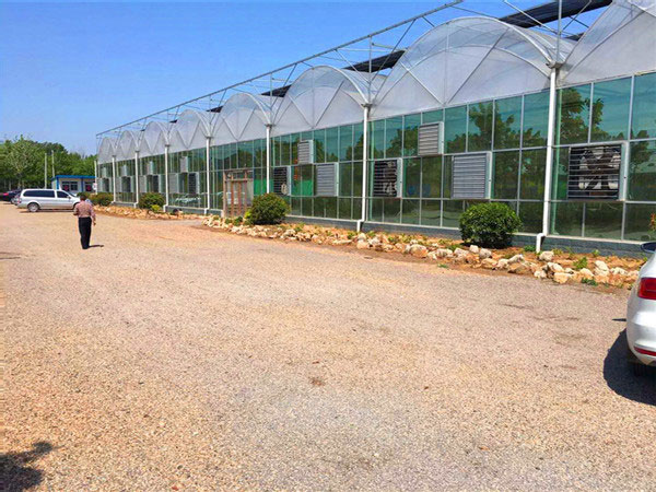 连栋薄膜温室