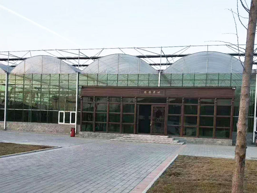 连栋薄膜温室