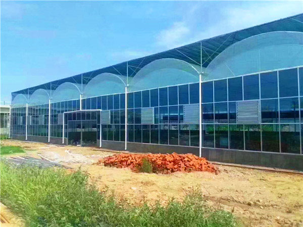 连栋薄膜温室