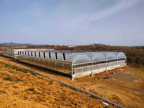 连栋薄膜温室