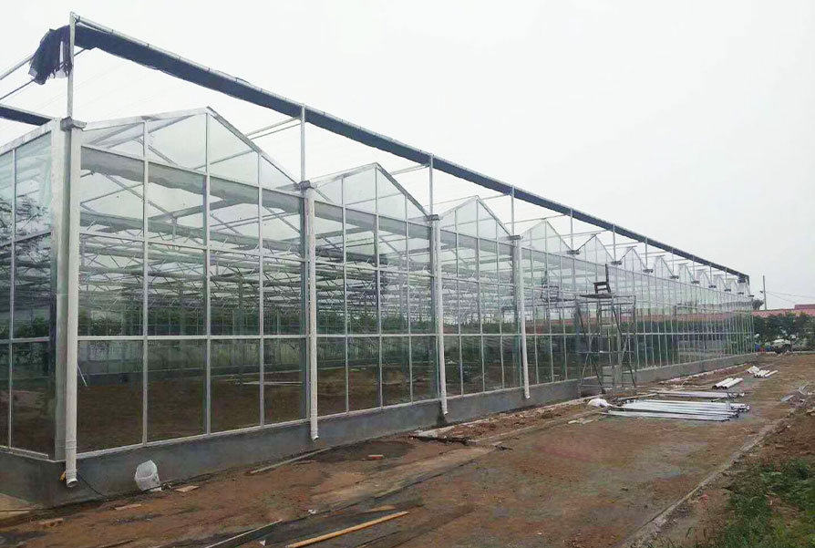 潍坊诸城玻璃温室项目