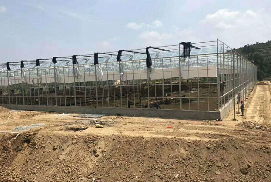 淄博玻璃温室项目