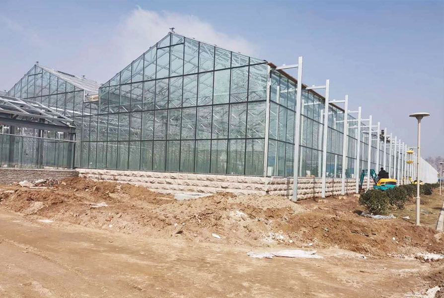 青岛胶南玻璃温室项目
