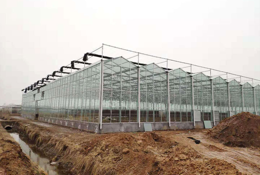 青州谭坊玻璃温室项目