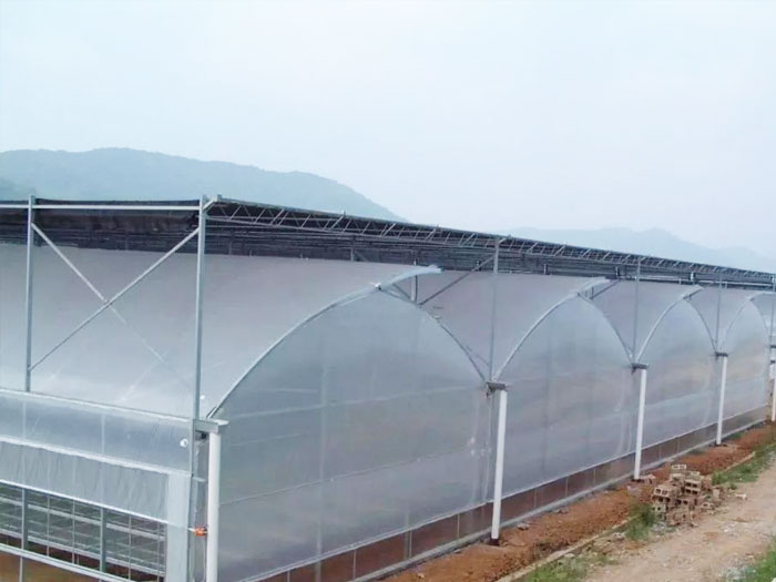 连栋薄膜温室大棚薄膜滴水要如何处理