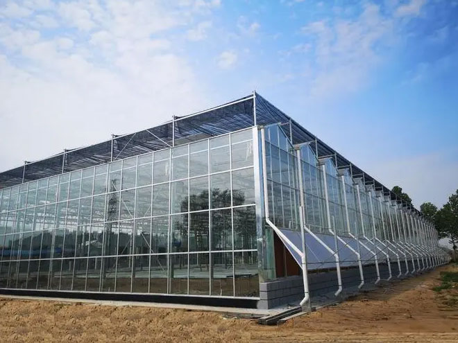 玻璃温室中补光时要注意哪些事项