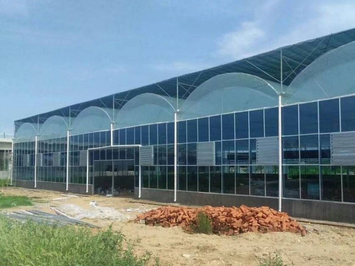 温室大棚在恶劣天气条件下要注意防冻工作