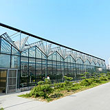 青州市不朽情缘官网登录入口农业科技有限公司