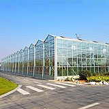 青州市不朽情缘官网登录入口农业科技有限公司