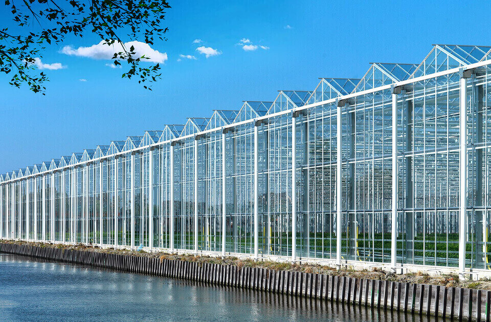 青州市不朽情缘官网登录入口农业科技有限公司介绍