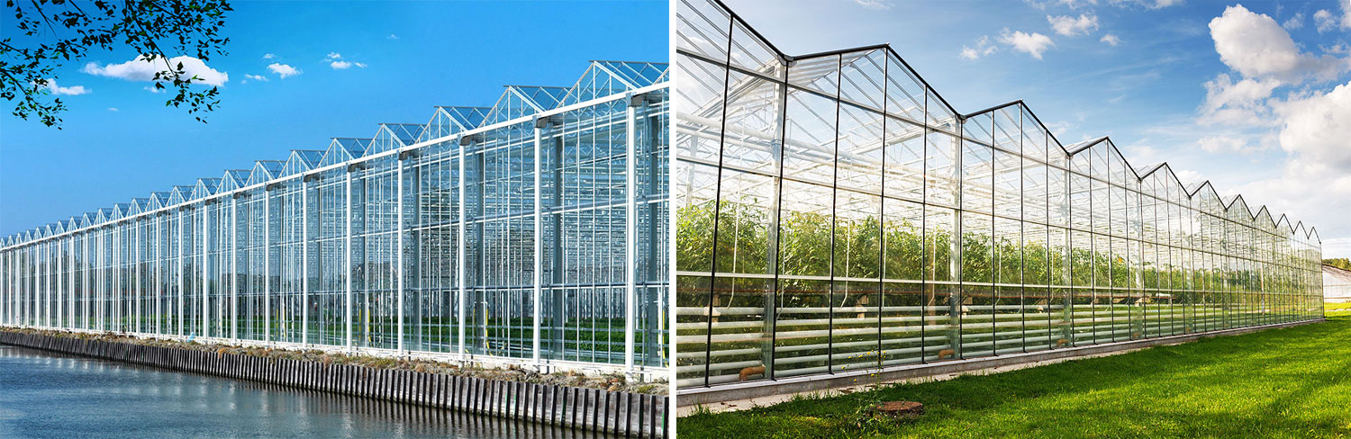 青州市不朽情缘官网登录入口农业科技有限公司介绍